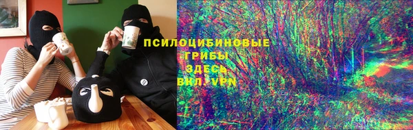 ГАЛЛЮЦИНОГЕННЫЕ ГРИБЫ Балабаново