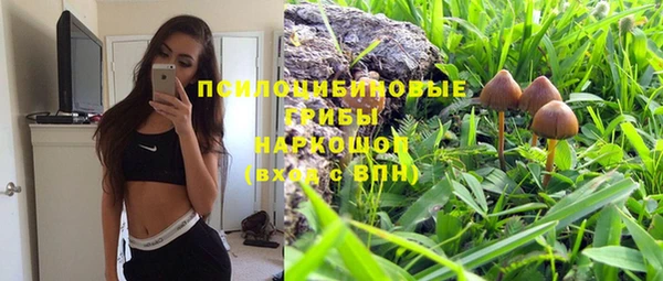 ГАЛЛЮЦИНОГЕННЫЕ ГРИБЫ Балабаново