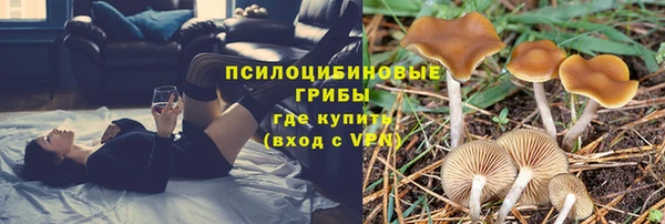mdpv Баксан