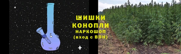 ГАЛЛЮЦИНОГЕННЫЕ ГРИБЫ Балабаново