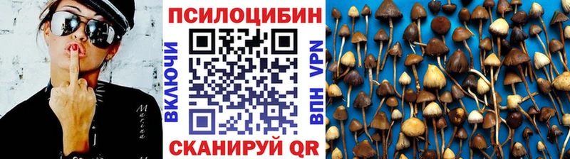 Галлюциногенные грибы MAGIC MUSHROOMS  Северо-Курильск 